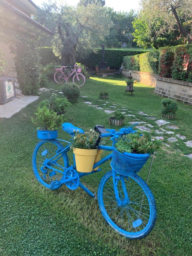 L' Ulivo Bed & Breakfast แตราโม ภายนอก รูปภาพ